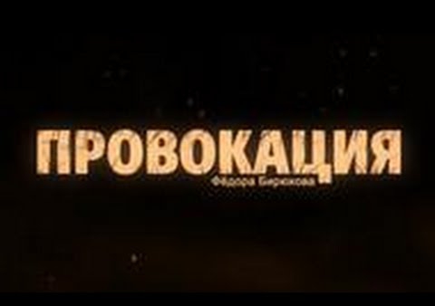 Бирюков: "Поиски Васильевой и другие забавы"