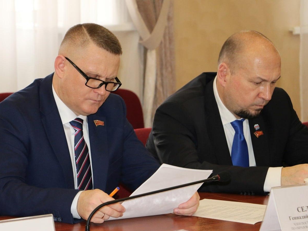 Селебин принял участие в заседании Комитета по образованию, науке, культуре и СМИ
