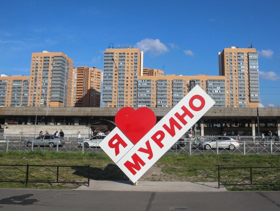 Муринскому депутату от "РОДИНЫ" доверено работать сразу в двух сформированных комиссиях