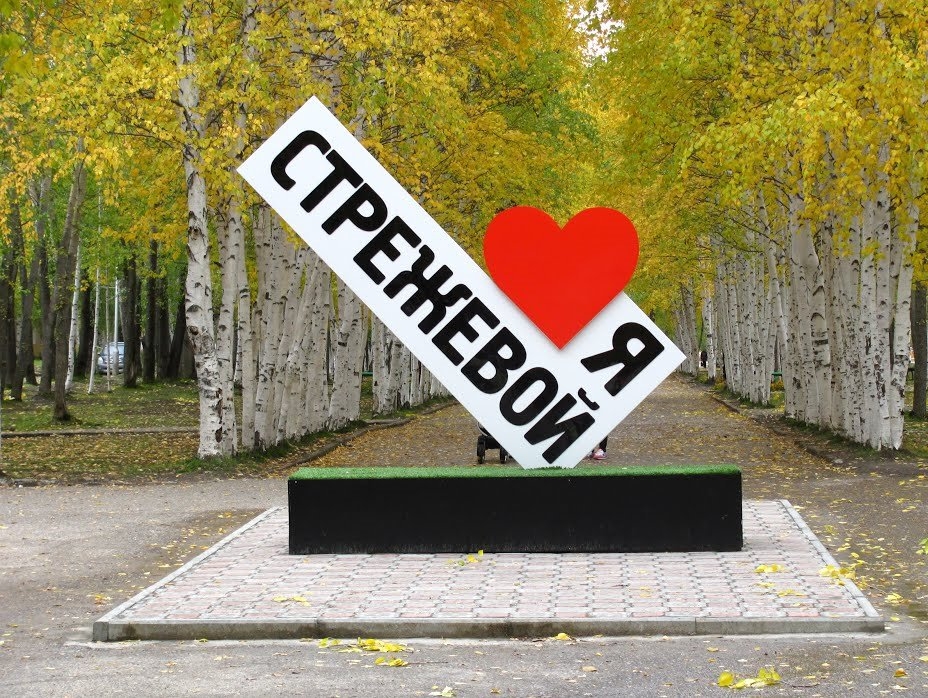 Томская "РОДИНА" оценила инициативу мэра города Стрежевой