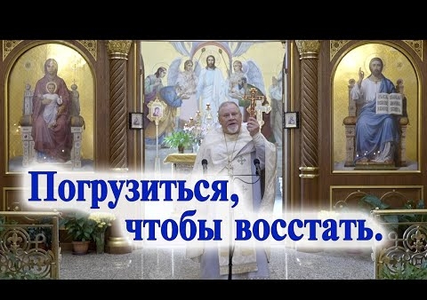 Геннадий Селебин: Наша Родина начинается с Православия. С нами Бог!