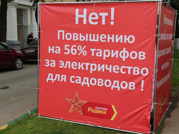 Нижегородские соратники провели пикет против повышения тарифов на электроэнергию