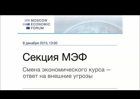 Секция по экономической безопасности МЭФ с участием Фёдора Бирюкова, 08.12.2015