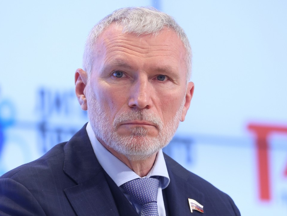 Лидер "РОДИНЫ" – NEWS.ru: Бойцы ВС РФ могут негласно договориться не пленить "азовцев"