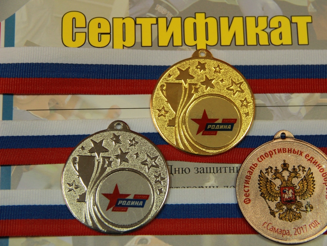 Самарская "РОДИНА" проведет XIX Фестиваль спортивных единоборств