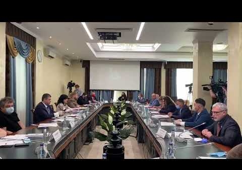 Алексей Журавлев в Общественной палате РФ. О голосовании по поправкам в Конституцию (09.06.2020)