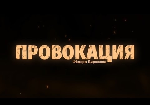 Фёдор Бирюков: Эрдоган - убийца и подлец
