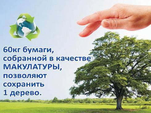 Активисты организуют сбор макулатуры в Новочеркасске