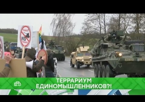 Федор Бирюков в программе "Место встречи". Террариум единомышленников?! (НТВ, 29.05.2018)