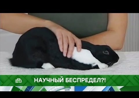 Федор Бирюков в программе "Место встречи". Научный беспредел?! (НТВ, 19.10.2018)