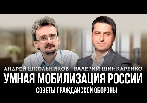 Валерий Шинкаренко: Умная мобилизация России - советы гражданской обороны