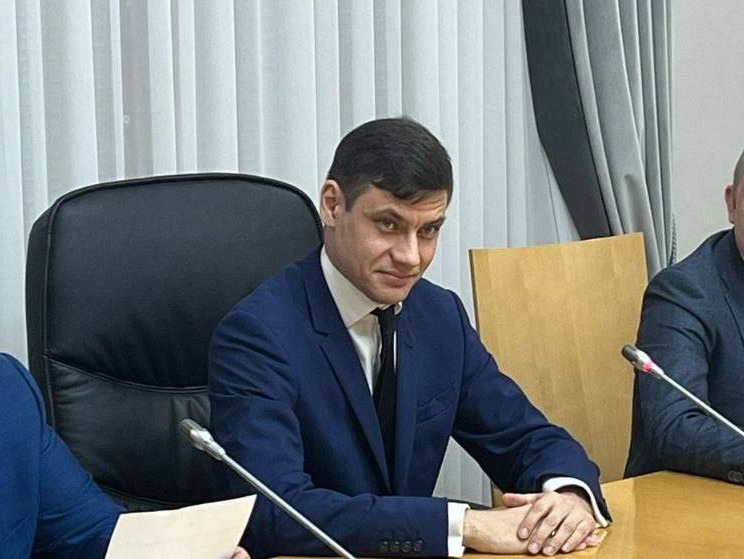 Николай Шлямин: Шаг от бездны или необходима мобилизация и национализация
