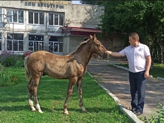 Геннадий Селебин посетил муниципальные районы избирательных округов Брянской области