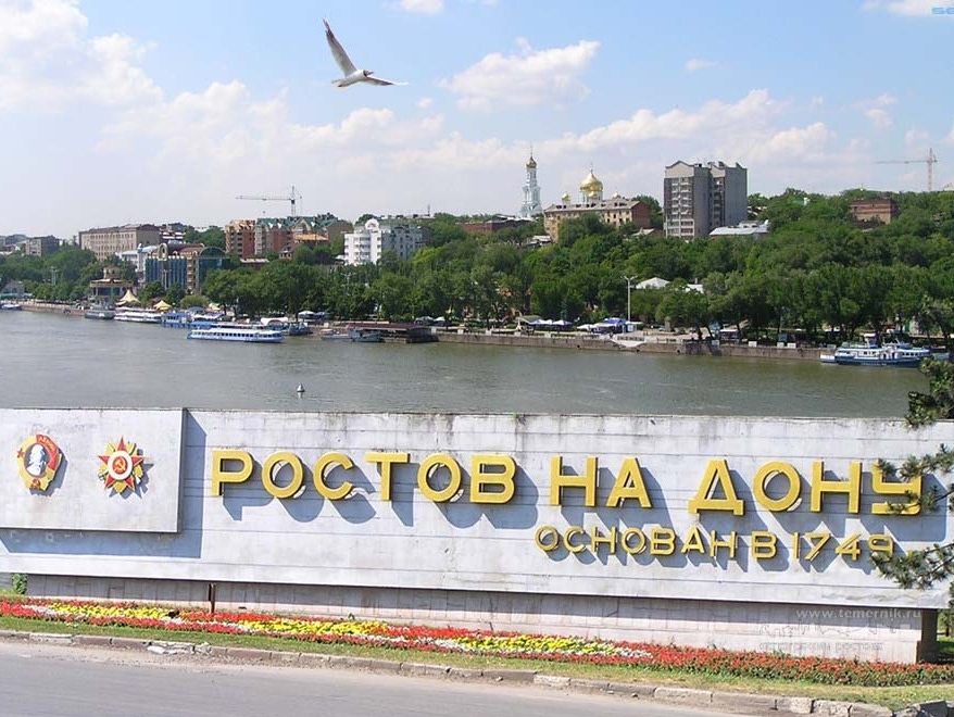 Полномочия председателя регионального отделения в Ростовской области прекращены досрочно
