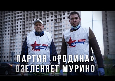 Активисты партии "РОДИНА" в Ленобласти посадили деревья в Мурино