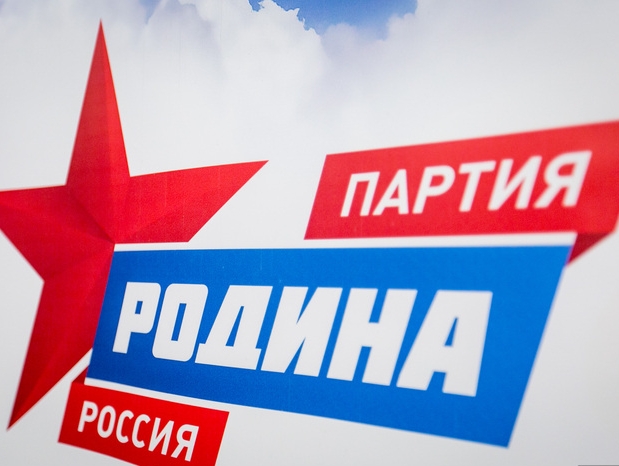 Воронежские соратники смогли добиться представительства партии в трех муниципальных образованиях