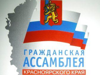 Активист красноярской "РОДИНЫ" получил награду от губернатора