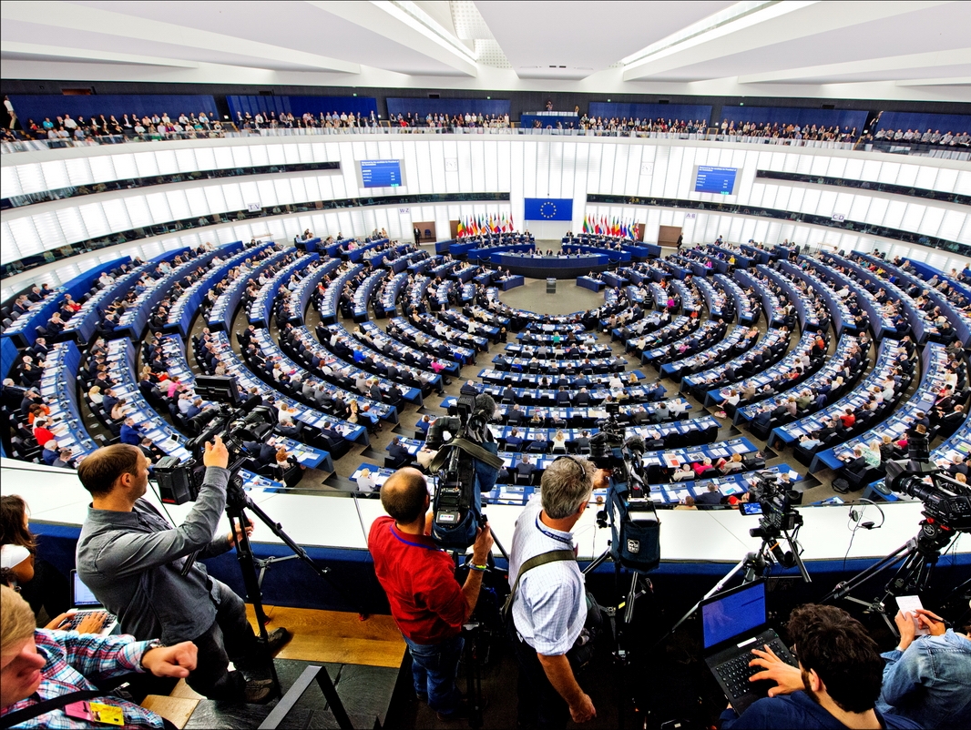 Александр Огнев: Слепые пятна Европарламента