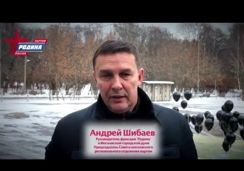 Акция столичной "РОДИНЫ"  в поддержку действий Президента России Владимира Путина в Сирии, 03.11.2015