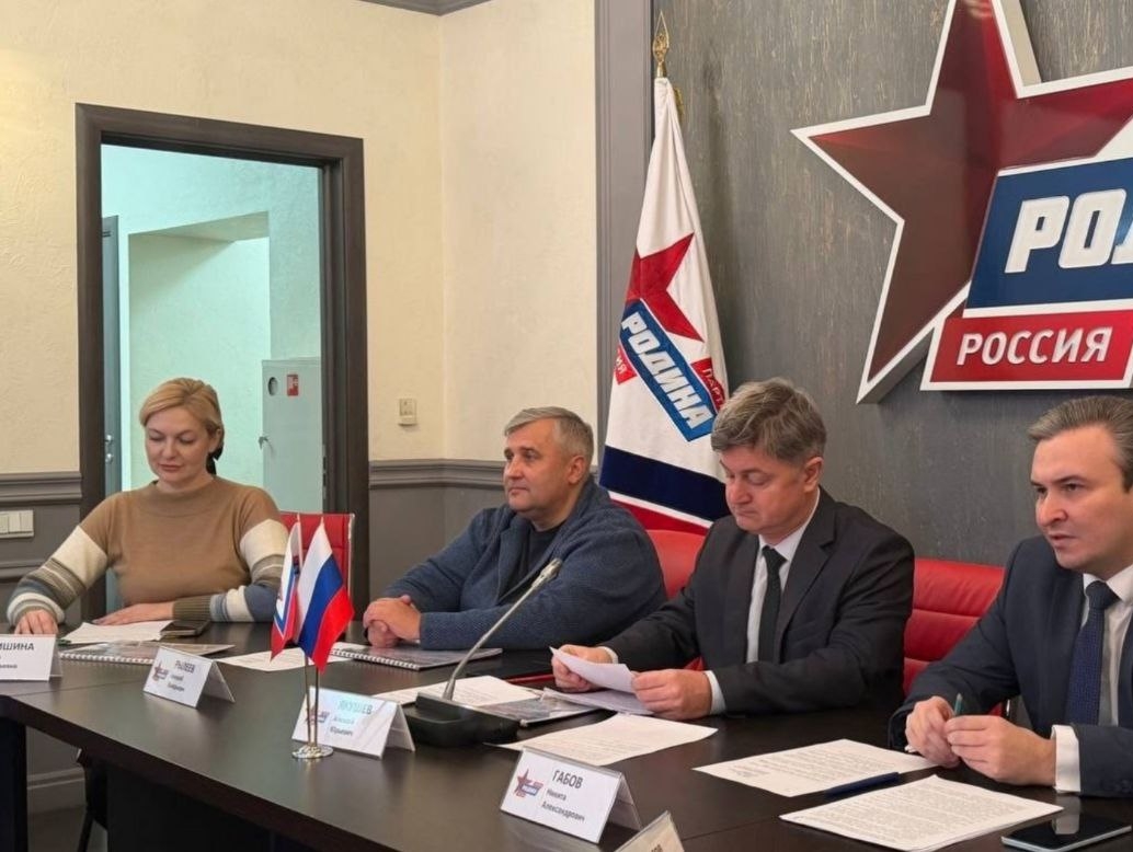 Законотворческая деятельность Совета по демографии Партии "РОДИНА"