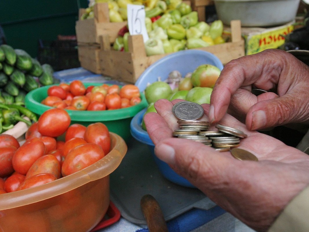 Ленинградская "РОДИНА" проследит за ценами на продукты