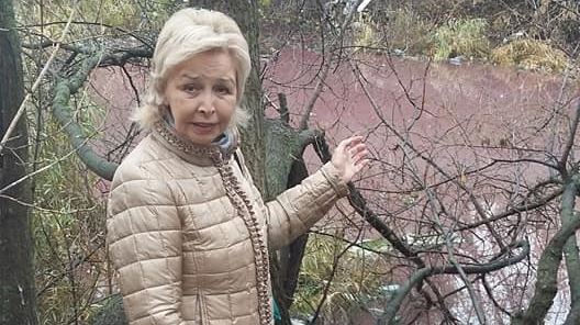 Волгоградские активисты отстоят экологические права граждан