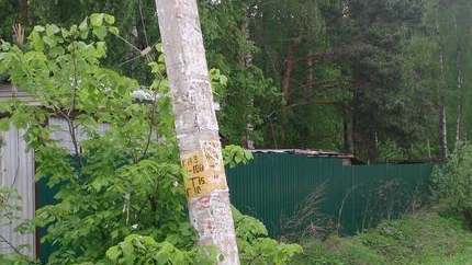 Истринская "РОДИНА" борется с несанкционированной рекламой