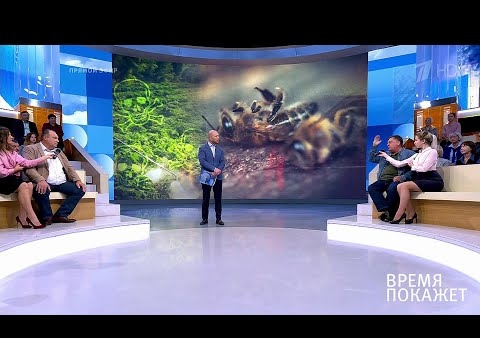 Алексей Журавлев в программе "Время покажет". Пчелиный мор (Первый канал, 16.08.2019)