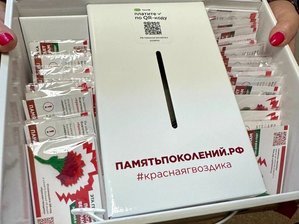 Владимир Михайлов о старте Всероссийской акции «Красная гвоздика»