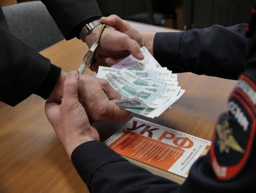 Вологодская "РОДИНА" выступила за конфискацию имущества коррупционеров