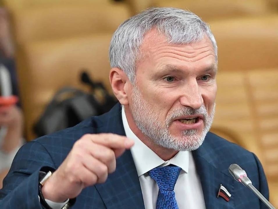 Журавлев назвал президента Финляндии "окурком", от которого ЕС старается разжечь пламя войны