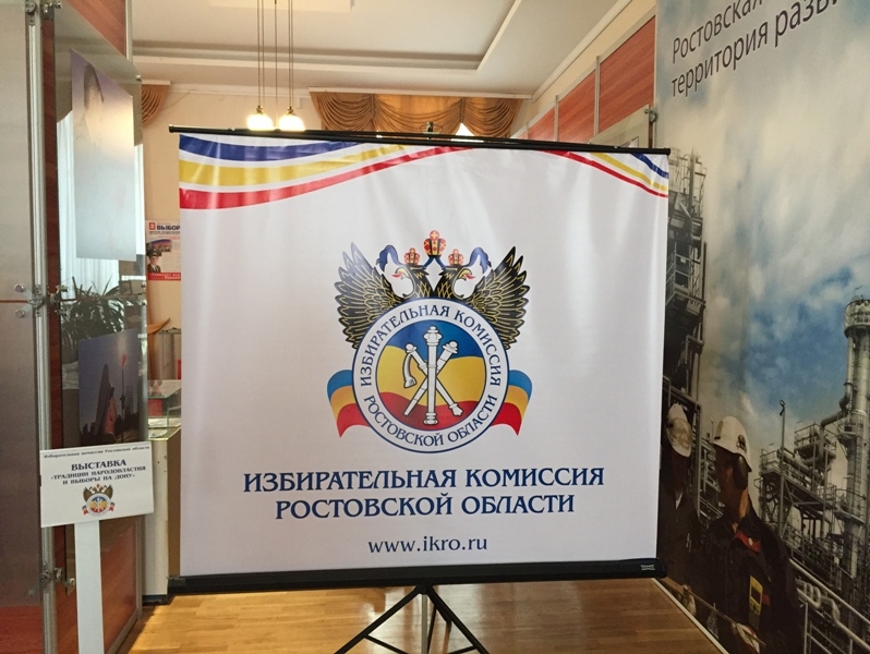 Ростовская "РОДИНА" обратилась с жалобой в ЦИК на региональный Избирком