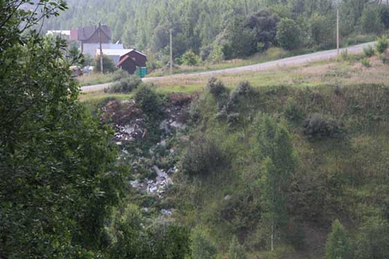 Родинцы провели в Подмосковье экологический рейд, 6 августа 2013 г
