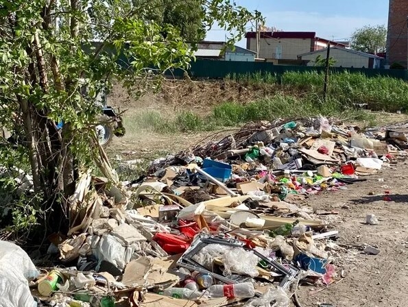 "РОДИНА" в Смоленске объявила войну стихийным свалкам
