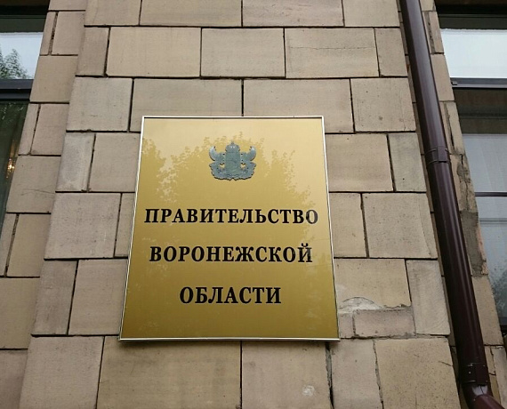 Воронежские партийцы сдали подписи для участия в выборах в Заксобрание региона