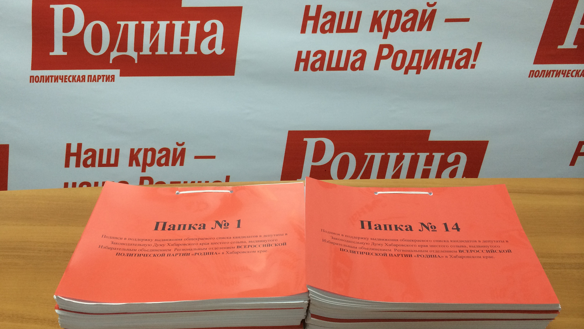 Хабаровские патриоты собрали подписи за кандидатов в думу