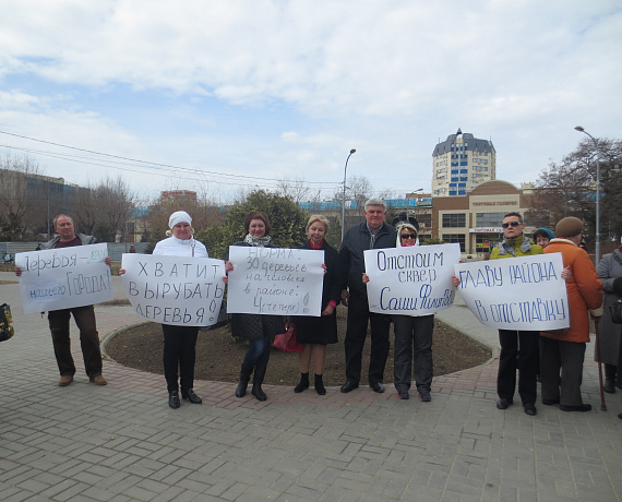 Наталья Латышевская с активистами выступили против вырубки в Волгограде