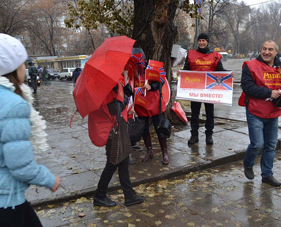 Патриоты Саратова поддержали пикетами выборы в Новороссии