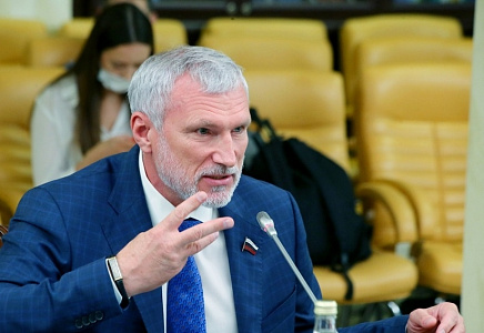 Лидер "РОДИНЫ": Надо четко определить, что такое "диверсия", а что - "теракт"
