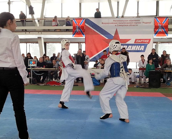 Самарские соратники провели Фестиваль спортивных единоборств