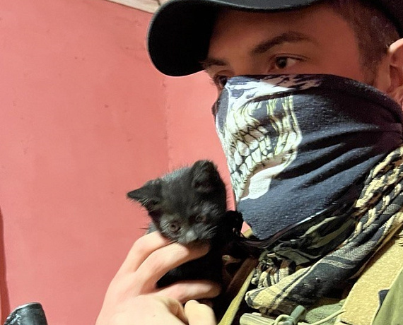 Татьяна Калегина: Партия "РОДИНА" готова возродить "Тимуровское движение"