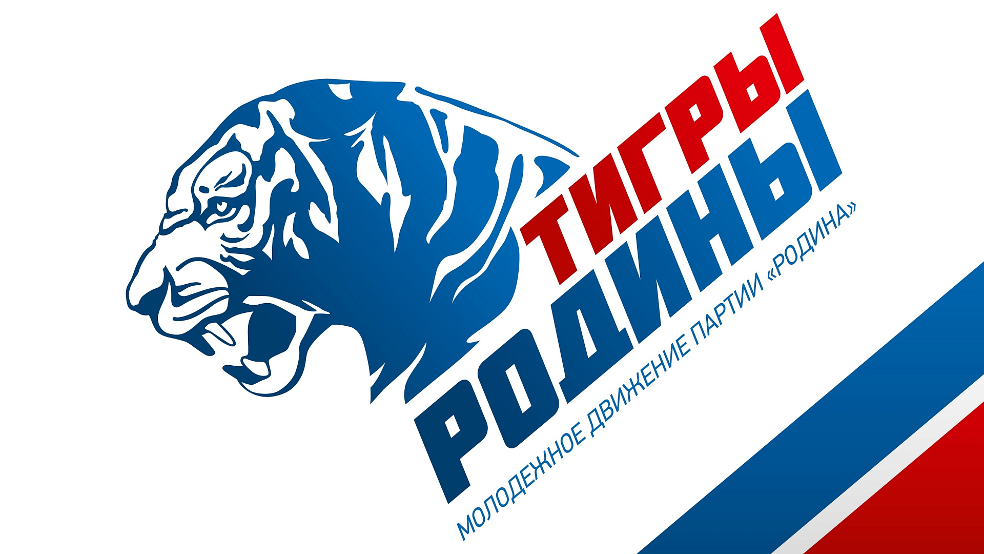 "Тигры Родины" организуют Центр по психологической поддержке родственников военных