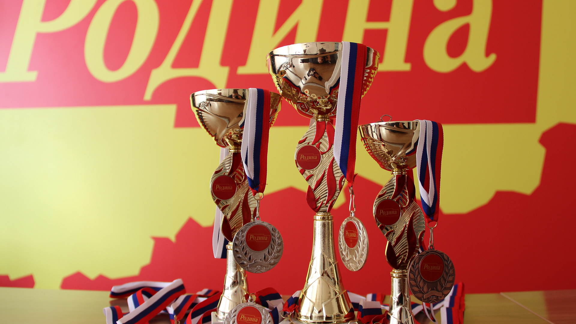Самарская "РОДИНА" завершает подготовку к Фестивалю спортивных единоборств