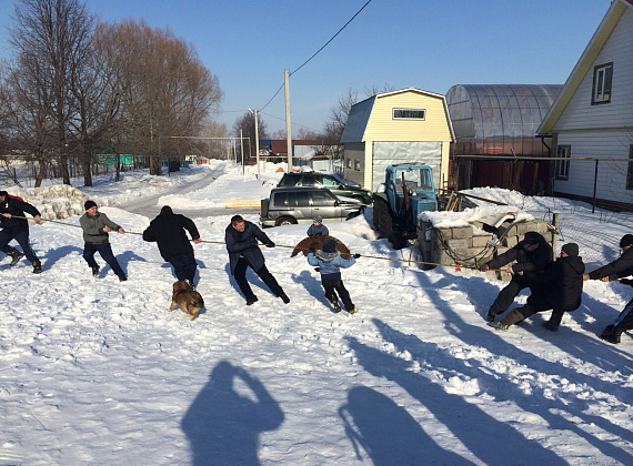 Визит Алексея Рылеева в Республику Чувашия, 07.03.2015