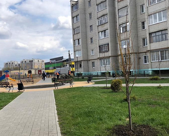 Тамбовские соратники поздравили ветеранов с приближающимся праздником