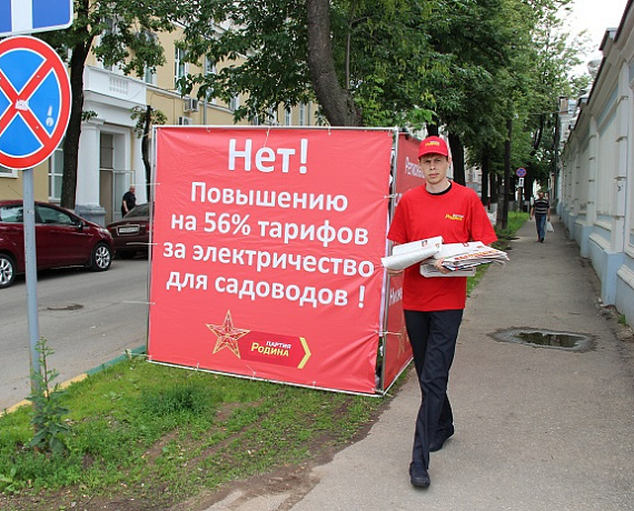 Нижегородские соратники провели пикет против повышения тарифов на электроэнергию