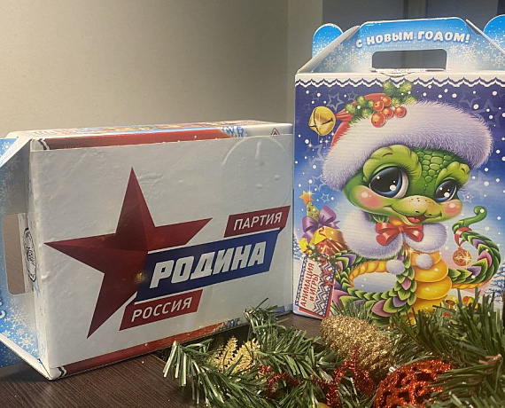 Самарское реготделение "РОДИНЫ" делает новогодние подарки детям