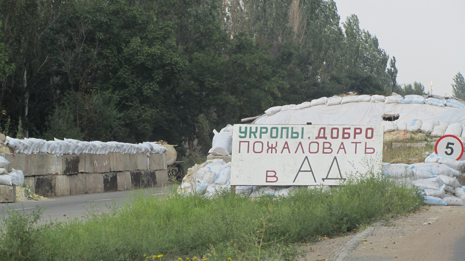 Рабочая группа "РОДИНЫ" по Донбассу заменит ОБСЕ