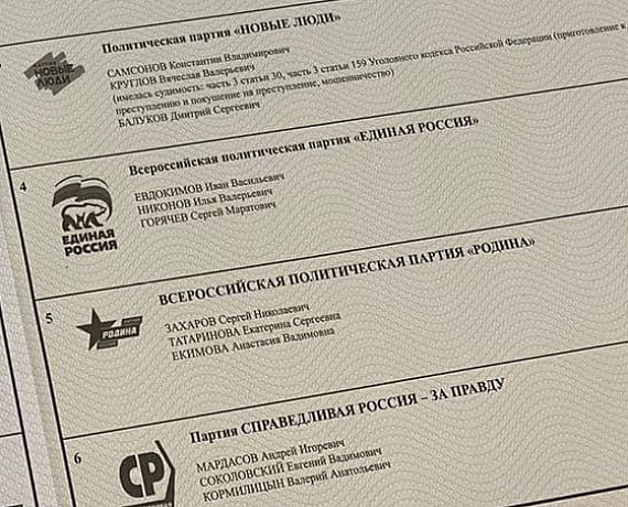 В Подмосковье проходит рейд кандидатов-родинцев по избирательным участкам