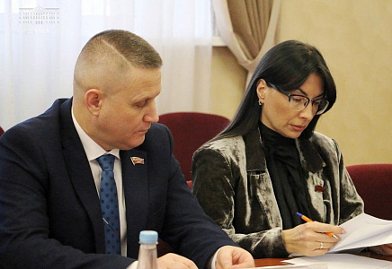 Геннадий Селебин принял участие в заседании Комитета по образованию, науке, культуре и СМИ